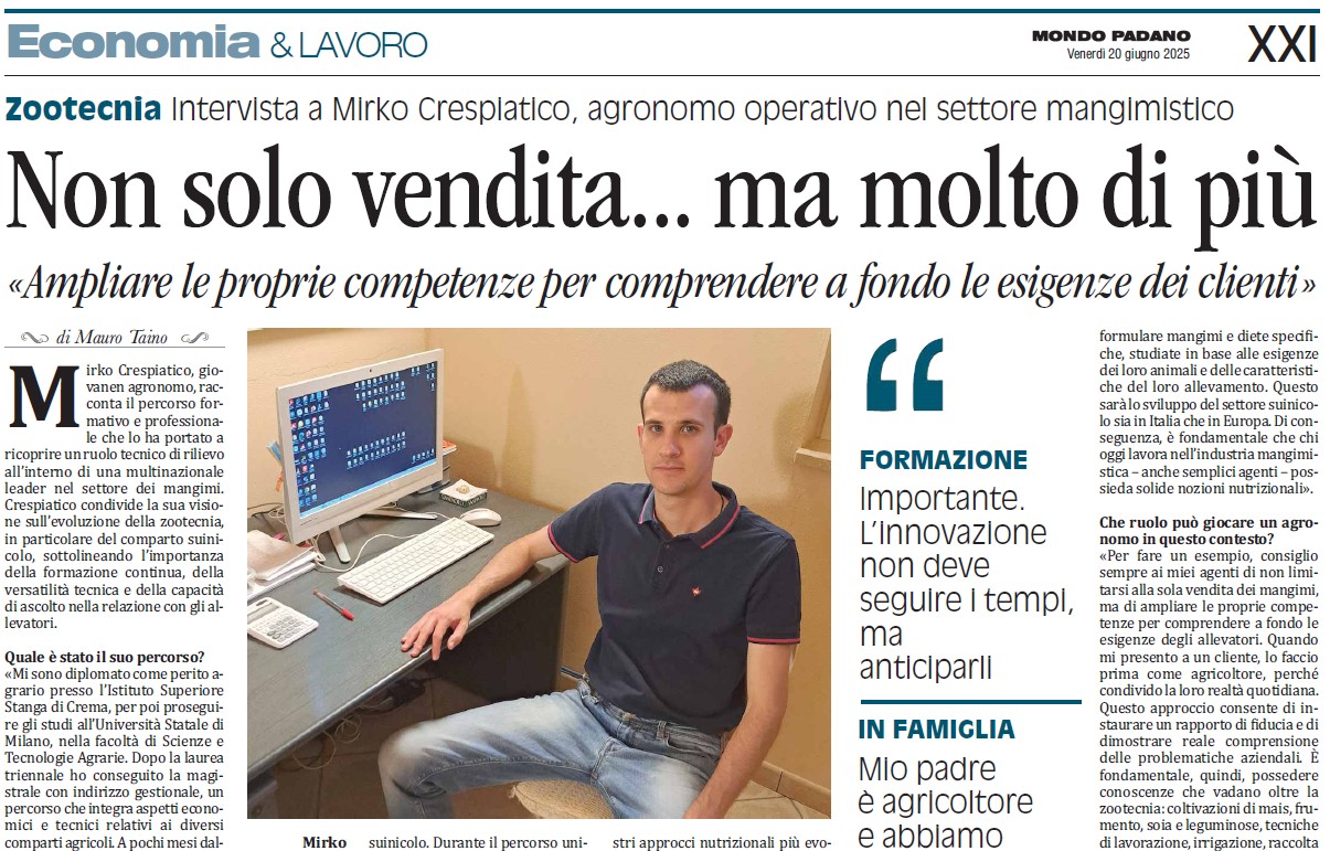 News dalla stampa