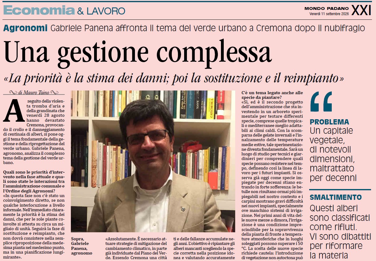 News dalla Sampa